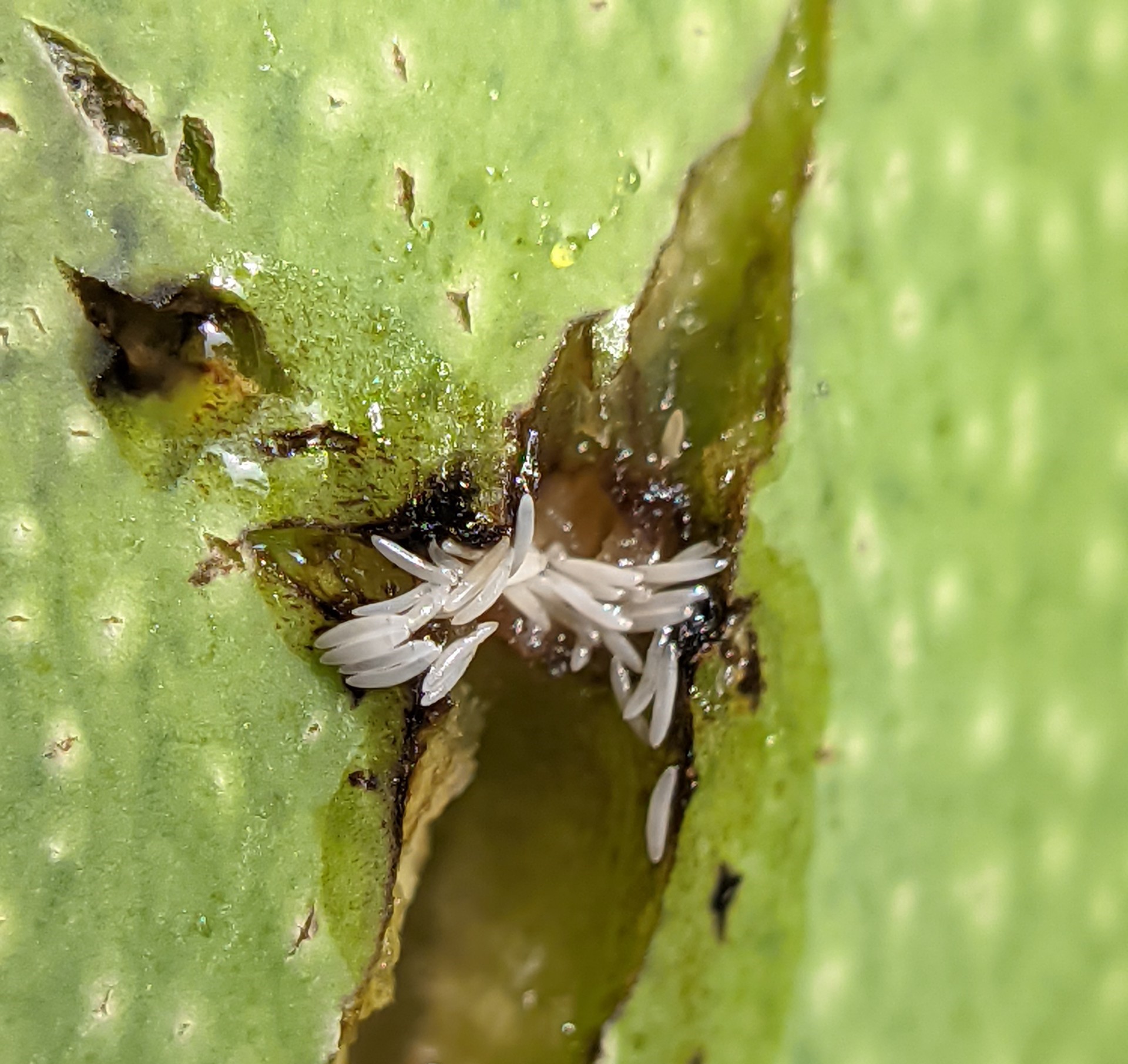 Cuộc gặp không hẹn trước