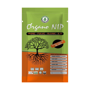 ORGANO NIP
